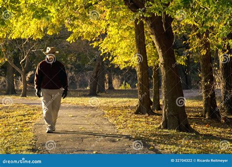 senior adult male walks   fall leaves  stock photo image  aging pensive