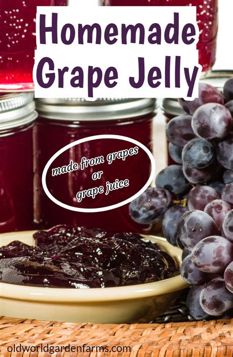 homemade grape jelly recipe   fresh grapes  juice recipe