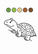 Color Number Coloring Pages Kids Printable Preschool Turtle Numbers Sheet Whale sketch template
