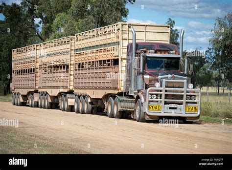 road train cattle truck  outback queensland australia stock photo alamy