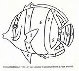 Coloring Butterflyfish Fish Butterfly Designlooter 9kb 1860 Banded sketch template