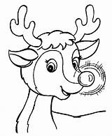 Christmas Coloring Pages Reindeer Rudolph Santa Nose Red His Print Gif Color Printable Kids Sheet Bing Printables Learning Years Cute sketch template