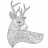 Adultos Deer Venados sketch template