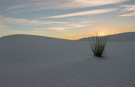Sunset At White Sands Nm Photograph By Loree Johnson Fine Art America