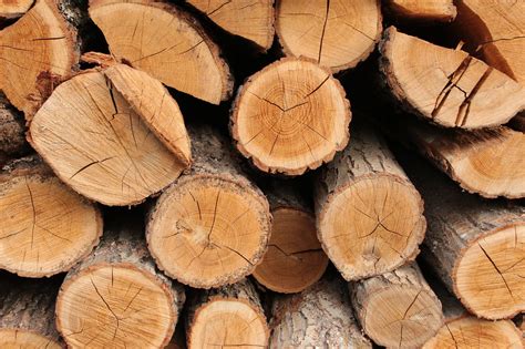 quema de madera  pone en riesgo al ambiente