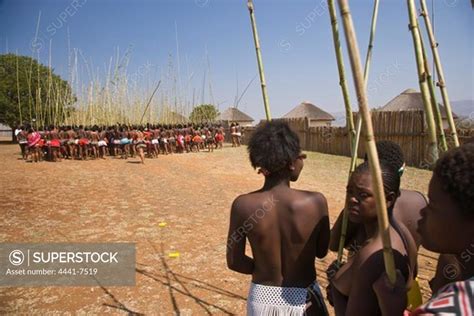 zulu girls in traditional dress delivering reeds to the king as symbols