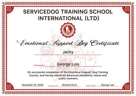 service dog training school international  school