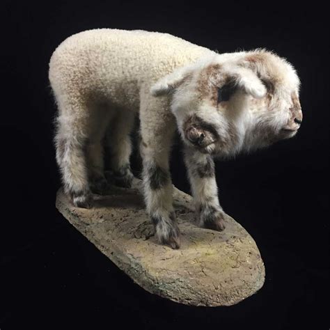 headed lamb museum  ventura county