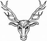 Stag Heraldry Antlers Antler Cervo Reindeer Clipartmag Gazelle Kindpng Pinclipart Clipartkey Hiclipart Heraldic sketch template