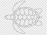 Turtle Sea Drawing Hawksbill Loggerhead Turtles Shell Coloring Clipart Modern Green Book Transparent Background Hiclipart sketch template