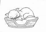 Sleeping Coloring Kitten Pages Cat Drawing Line Printable Cats Sheets Basket Kitty Kids Dog Animal Print Sleep Dogs Book Getdrawings sketch template