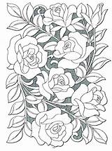 Coloring Pages Border Roses Rose Getcolorings sketch template