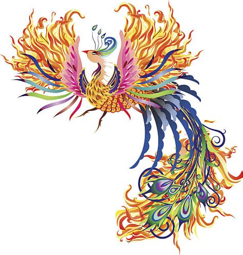 royalty  phoenix bird clip art vector images illustrations istock