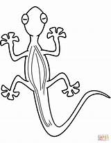 Coloring Lizard Pages Printable sketch template