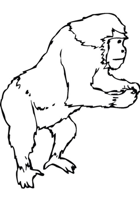 coloring pages  printable gorilla coloring sheet  kids