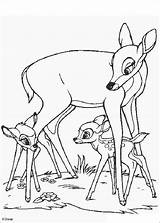 Coloring Bambi Mom Pages Mother sketch template