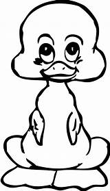 Clipart Duck Coloring Baby Line Drawing Clipartbest Book sketch template