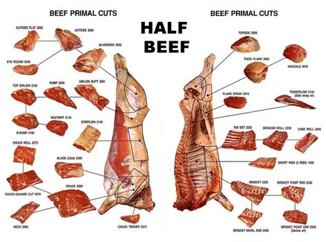 butcher cuts
