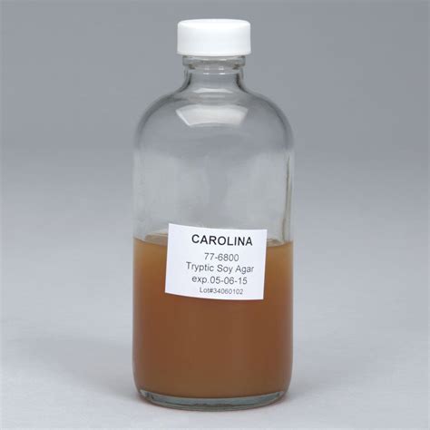 tryptic soy  prepared media bottle  ml carolinacom