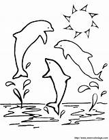 Delfine Delfini Drei Delfin Delfino Dolphin Tre Dauphins Webbrowser Anderen Ordnung Benutzen Genügt Alles Wird Ausmalen2000 sketch template