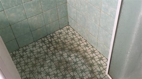 repair that leaking shower without removing tiles rhinoseal shower