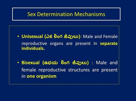 Ppt Sex Determination లింగ నిర్దారణ Powerpoint Presentation Id 597194