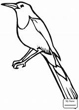 Blue Jay Coloring Pages Printable Drawing Getdrawings Color Supercoloring Getcolorings Birds Cute sketch template