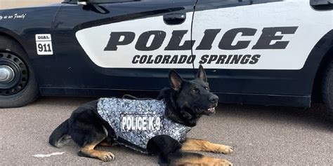 Cspd K9 Creed Receives Donation Of Body Armor