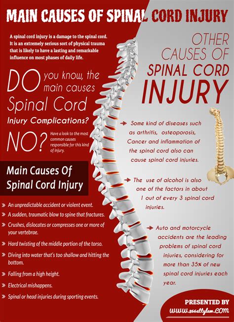 main   spinal cord injury