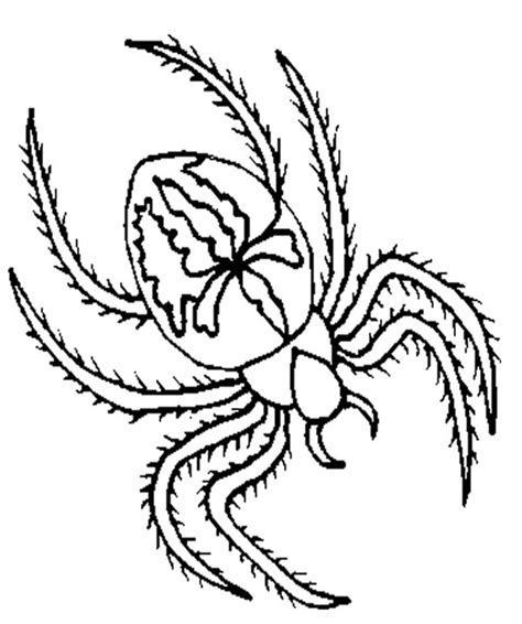 pin  netart  spider coloring pages spider coloring page insect