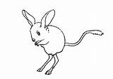 Jerboa Draw Easyanimals2draw Paw Front sketch template