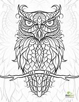 Coloring Owl Pages Owls Adult Book sketch template
