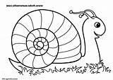 Escargot Coloriage Dessin Colorier Maternelle Rentree Inspirant Imprimer Benjaminpech sketch template