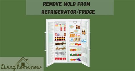 clean mold  refrigerator  easy steps  kill mold