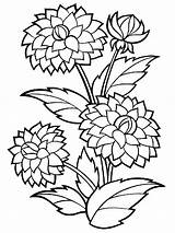 Flower Coloring Pages Big Getcolorings Printable Color sketch template