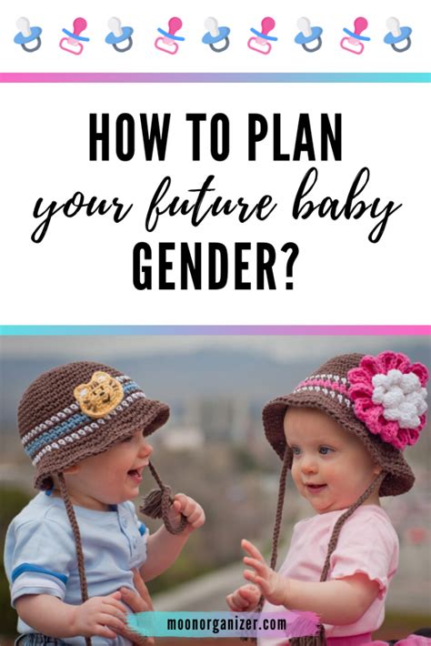 baby gender predictor   plan  future baby gender