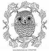Zentangle Owl Adult Colouring Vector Book Wreath Blake Ranunculus Little Shutterstock Doodle Coloring Search sketch template