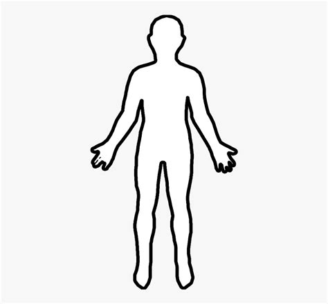 human body drawing outline  tutorial shows  sketching