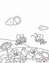Coloring Pages Meadow Bees Over Printable Flowering Fly Two Print Drawing Book Spring sketch template
