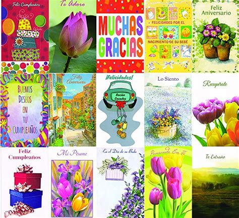 amazoncom spanish  occasion greeting cards assorted  pack