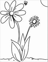 Bee Flower Coloring Pages Printable Yahoo Search Colouring Flowers Kids Getdrawings Drawing Book sketch template