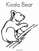 Koala Coloring Bear Pages Australian Kids Animal Template Templates Bears Printable Print Built California Usa Twistynoodle Popular Noodle sketch template