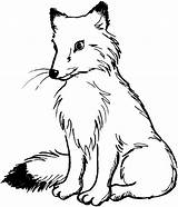 Fox Coloring Pages Animals Printable Animal Sitting Wild Cute sketch template
