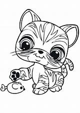 Coloring Shop Pages Lps Cats Pet Toy Coffee Shorthair Getcolorings Cat Template Store Littlest sketch template