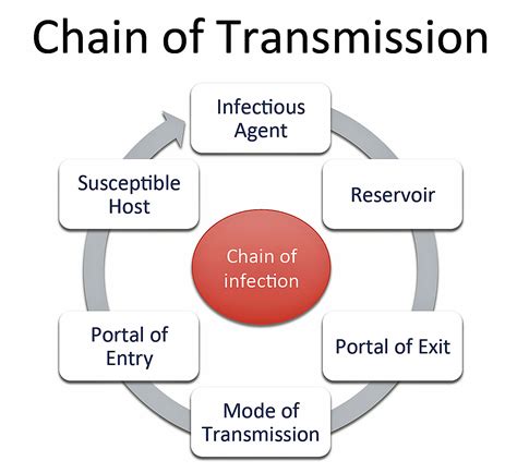chain  transmission disease detectives wiki