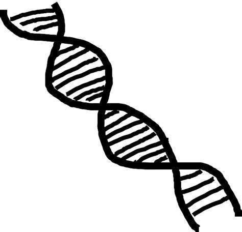 On This Day In 2003 The Human Genome Project Was Completed Well Almost