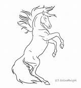 Horse Rearing Lineart Drawings Draw Drawing Line Deviantart Bucking Coloring Horses Pages Sketch Clip Hoeses Google Getdrawings Pencil Cartoon Choose sketch template