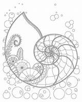 Coloring Underwater Pages Plants Nautilus Drawing Adult Fantasy Plant Shell Getcolorings Getdrawings Colorarty Ocean sketch template