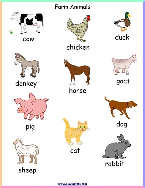 farm animals chart images
