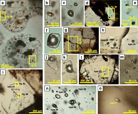 types  fluid inclusions  minerals  biotite tourmaline granite  scientific